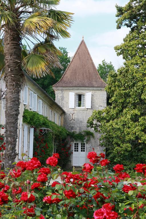 Bed and Breakfast Chateau de Puyrigaud à Léoville Extérieur photo