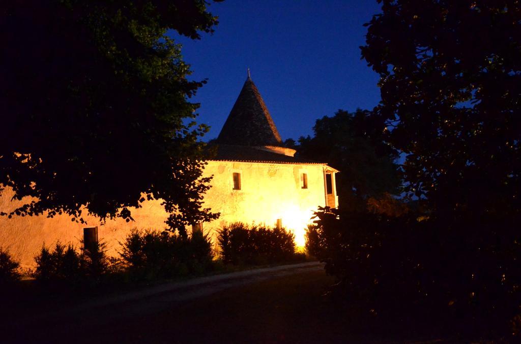 Bed and Breakfast Chateau de Puyrigaud à Léoville Extérieur photo